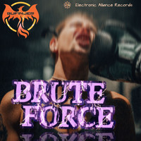 Bufinjer - Brute Force