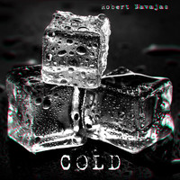 Robert Navajas - Cold