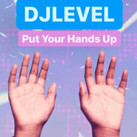 DJLEVEL - Put Your Hands Up (Radio Edit)