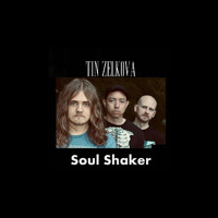 Tin Zelkova - Soul Shaker