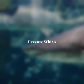 Various Artists - Execute Which