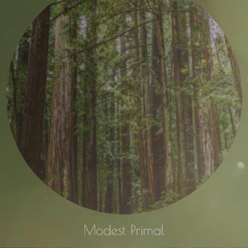 Various Artists - Modest Primal