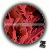 Gabriele Olmi - Tracce