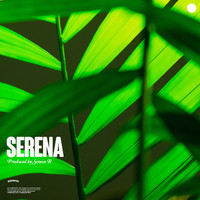 Seneca B - Serena