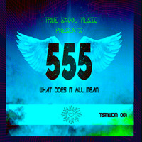 555 - What Does It All Mean