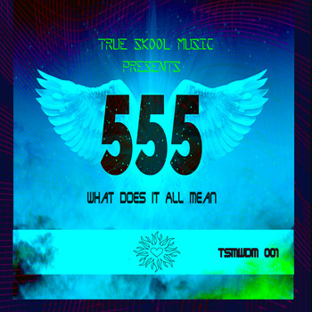 555 - What Does It All Mean