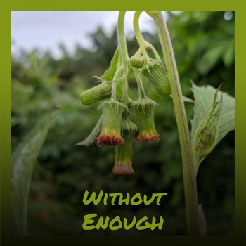 Various Artists - Without Enough