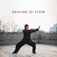 Chakra Meditation Universe, Chinese Yang Qin Relaxation Man and Spiritual Development Academy - Healing Qi Flow (Qigong Meditation for Vital Energy Increase, Release Negative Feelings)