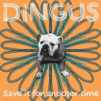 Dingus - Save It for Another Time