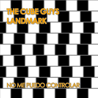 The Cube Guys, Landmark - No Me Puedo Controlar