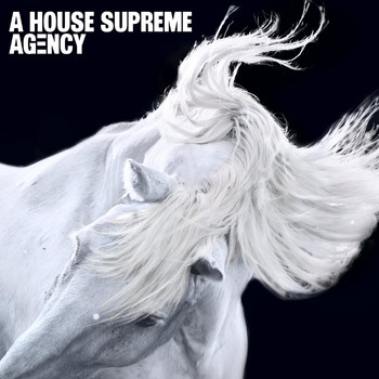 Agency - A House Supreme