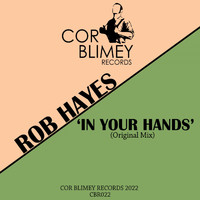Rob Hayes - In Your Hands