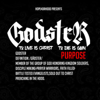 Purpose - Godster