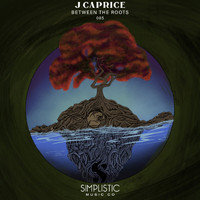 J.Caprice - Between The Roots LP