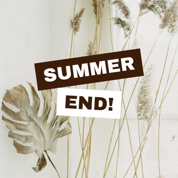 Various Artists - Summer End !