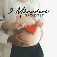 Helande Instrumentalmusik Akademi - 9 Månaders Graviditet - Avslappningsmusik För Gravida Kvinnor