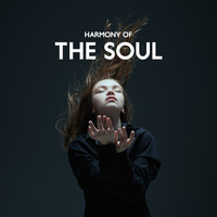 Body and Soul Music Zone - Harmony Of The Soul: Peaceful Meditation That Gives Tranquility Of Mind, Serenity Of Soul, Peaceful Spirit