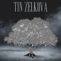 Tin Zelkova - Tin Zelkova