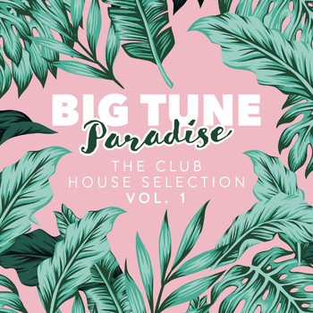 Various Artists - Big Tune Paradise - The Club House Selection, Vol. 1