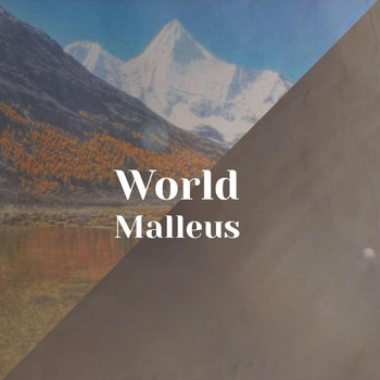 Various Artists - World Malleus