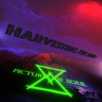 Pictures of Soul - Harvesting the Mind (Radio Edit)
