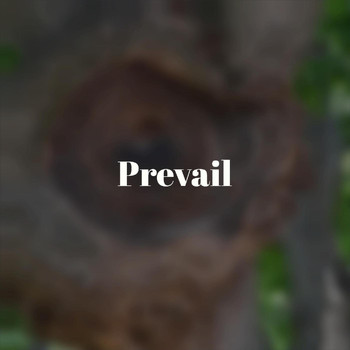 Various Artists - Prevail