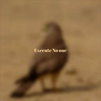 Various Artists - Execute No one