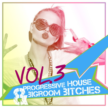 Various Artists - Progressive House & Bigroom Bitches, Vol. 3