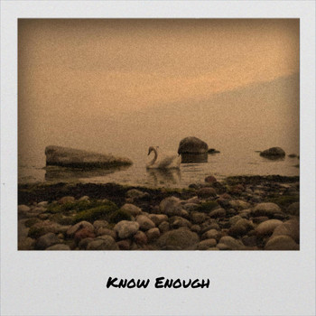 Various Artists - Know Enough