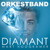 Mart Hoogkamer - Diamant (Orkestband) (Orkestband)