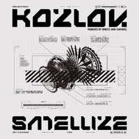 Kozlov - Satellize