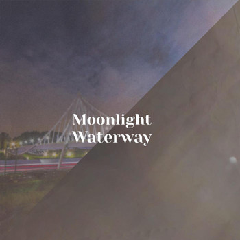 Various Artists - Moonlight Waterway