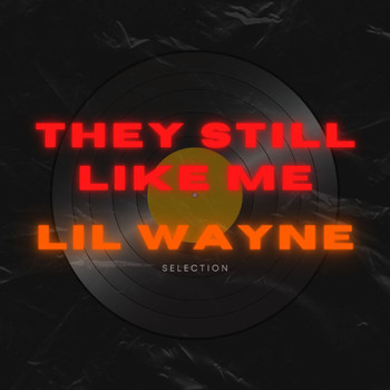 Lil Wayne - They Still Like Me: Lil Wayne Selection (Explicit)