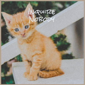 Various Artists - Inquire Nobody