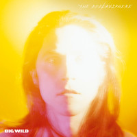 Big Wild - The Efferusphere