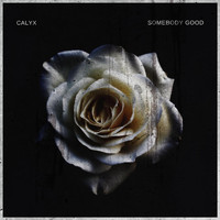 Calyx - Somebody Good
