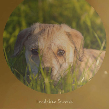 Various Artists - Invalidate Several