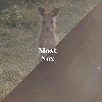 Various Artists - Most Nox