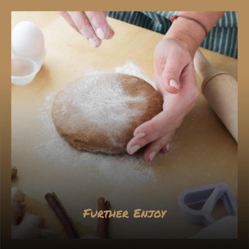 Various Artists - Further Enjoy