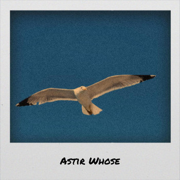 Various Artists - Astir Whose