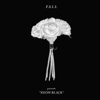 Fall - Neon Black