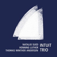 Natalio Sued, Thomas Winther Andersen & Henning Luther - Intuit Trio