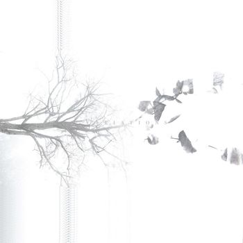 Ilya Delire - Variations