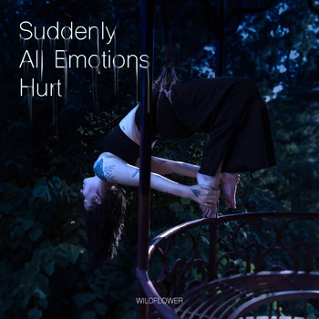 WildFlower - Suddenly All Emotions Hurt