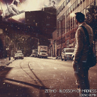 Zetmo - Blossom of Madness (EDENO Remix)