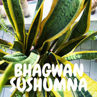 Bhagwan - Sushumna