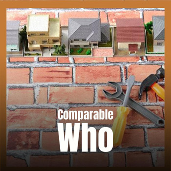 Various Artists - Comparable Who