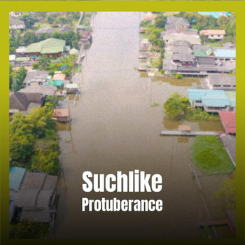 Various Artists - Suchlike Protuberance