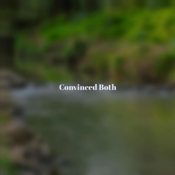Various Artists - Convinced Both