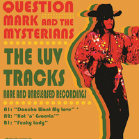 Question Mark and The Mysterians - The Luv Tracks
